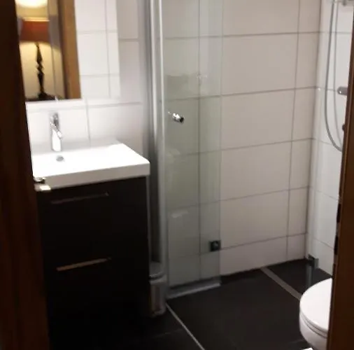 Winterberg-hasewinkel Διαμέρισμα Βίντερμπεργκ